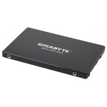 GIGABYTE SSD 256GB GP-GSTFS31256G