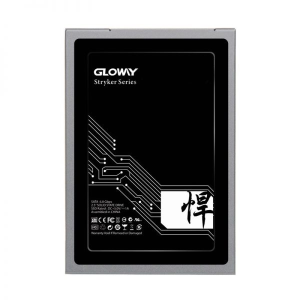 SSD Gloway Stryker 960G